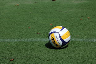 开云官方-女排世锦赛：中国队力压群雄，奖牌不断！，女排世锦赛名额